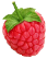 Rapsberry logo
